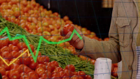 animation of data processing and diagrams over caucasian woman picking tomatoes in shop