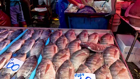 sequence of fish selling at a busy market