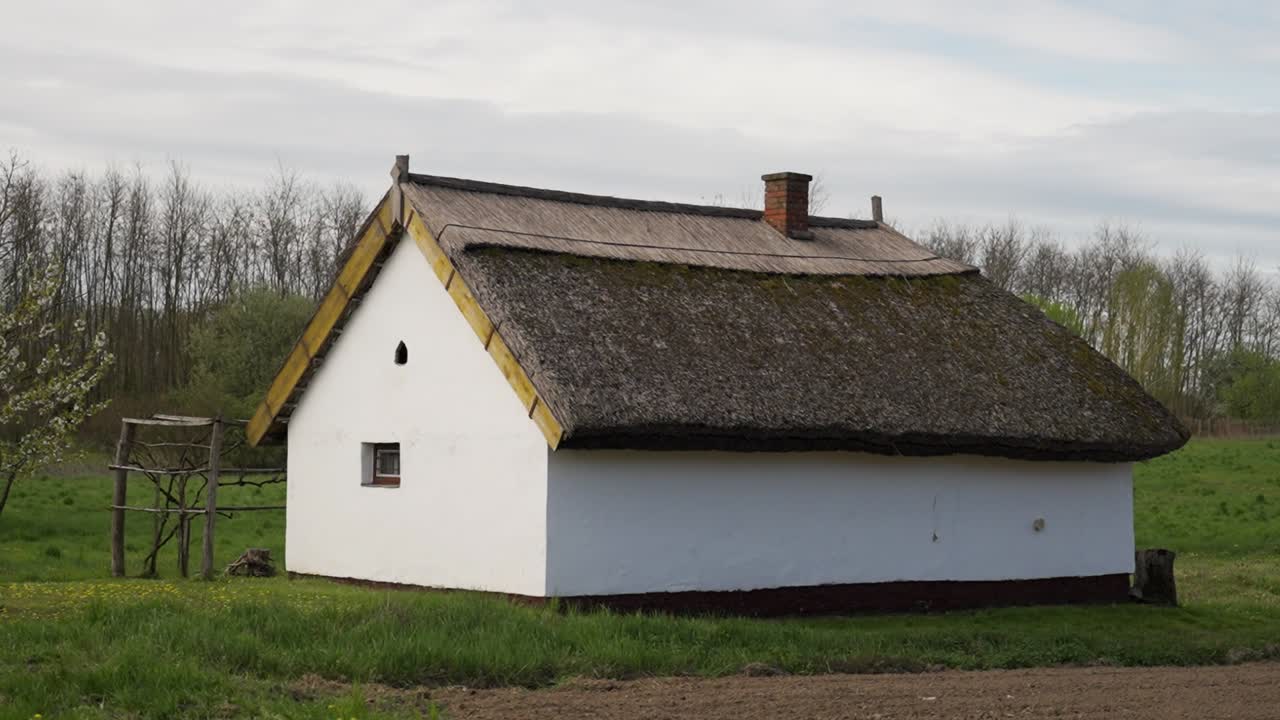 Traditional thatched house with mossy roof in rural field