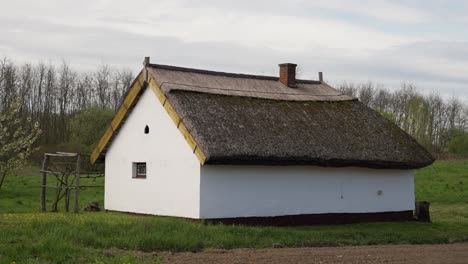 traditional thatched house with mossy roof in rural field