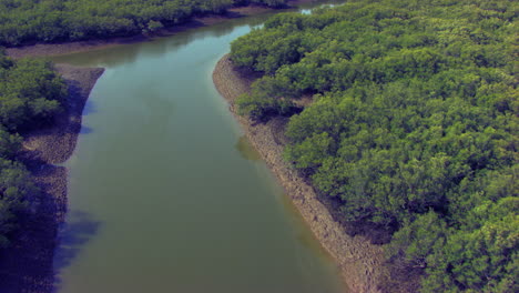 Low-pass-over-the-mangroves-forest,-following-the-lake,-reflecting-sun-in-the-water