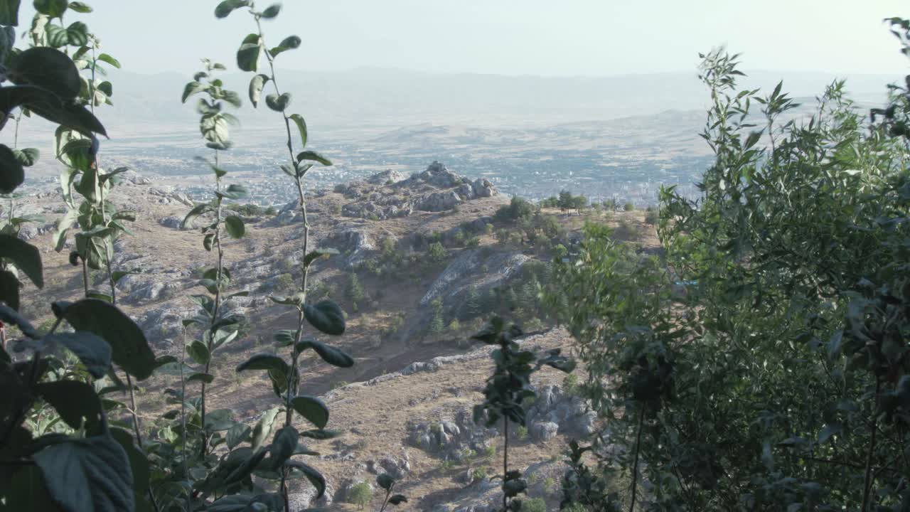 paisaje agreste plano general a través del follaje harput