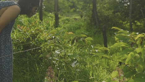 woman in blue dress bending forwards to smell aroma of plants in woodland, then turning to walk towards camera