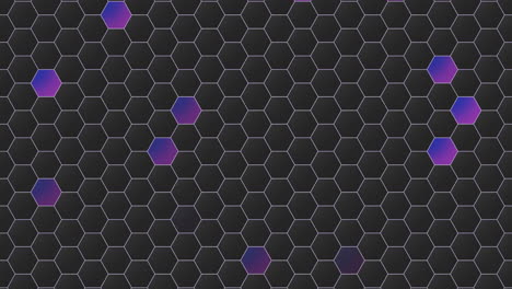 elegance purple and black hexagons pattern