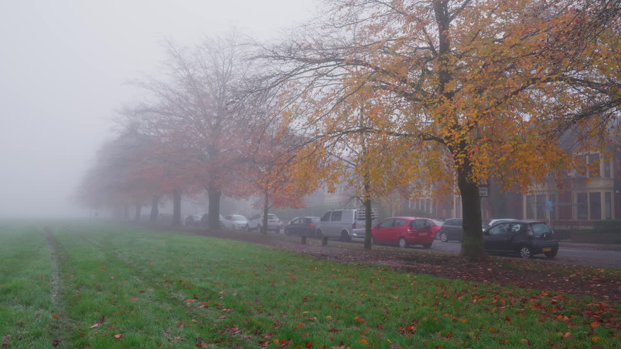 주택가 옆 공원의 안개 낀 가을날