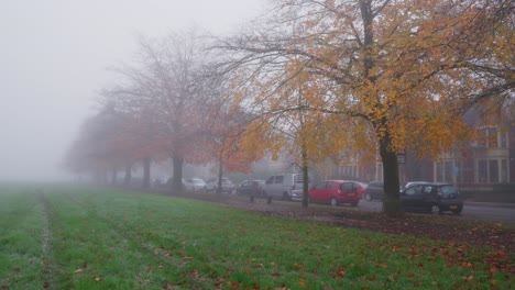 a foggy autumn day in a park by a residential area