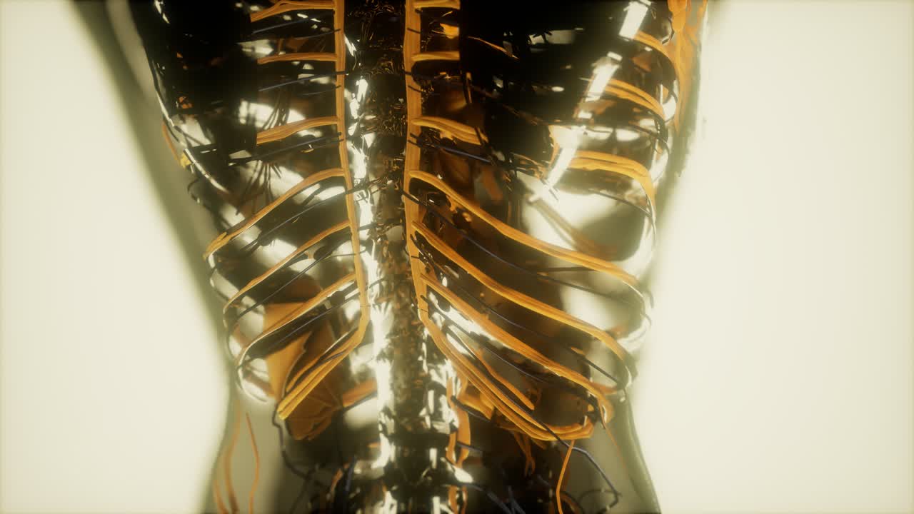 순환계의 혈관에 있는 혈액의 검사