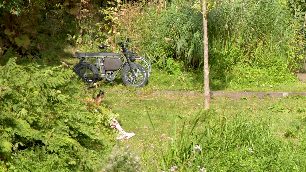 Daytime camera pan reveals canal steps, greenery, and parked motorcycle in Amsterdam park setting