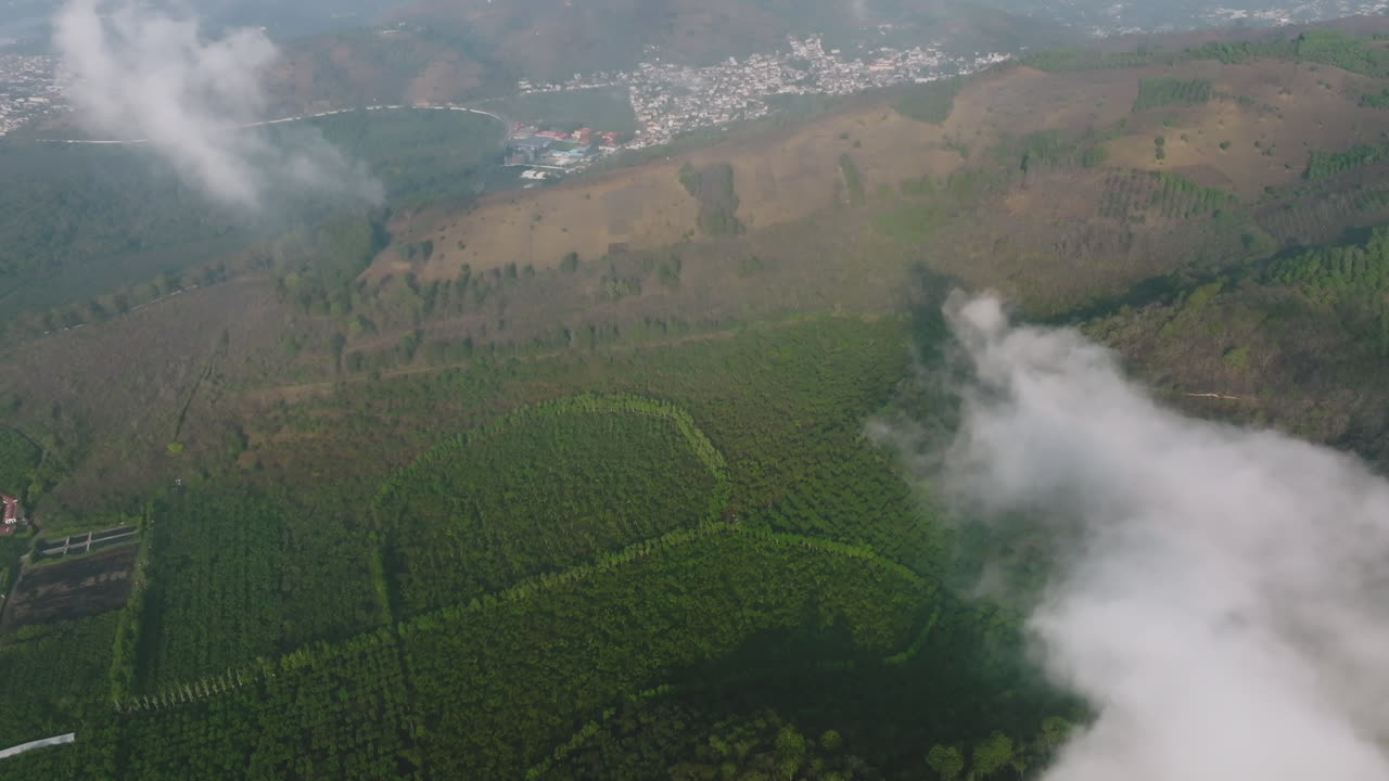 sobrevuelo aéreo de plantaciones de café con nubes en primer plano en antigua, guatemala