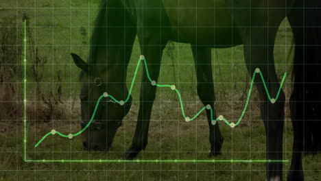 horse grazing in pasture while showing transparent green grid and line chart overlay