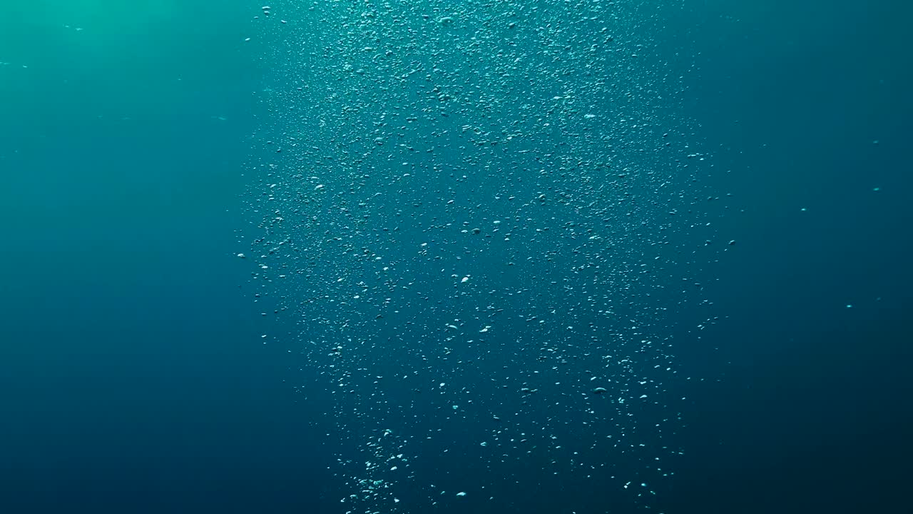 바다의 수중 거품은 열대 푸른 바다에서 표면으로 떠다닙니다.