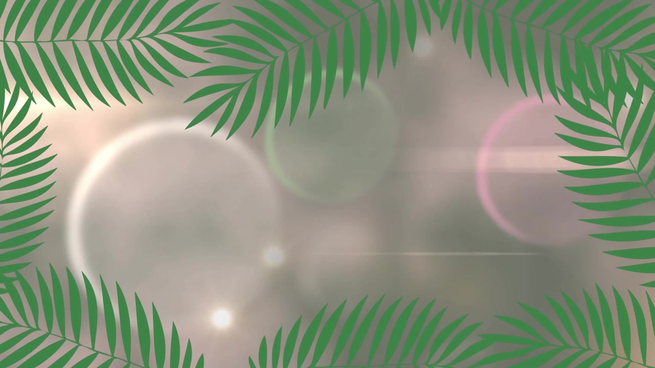 Tropical Palm Leaf Frame with Soft Glowing Light Flares