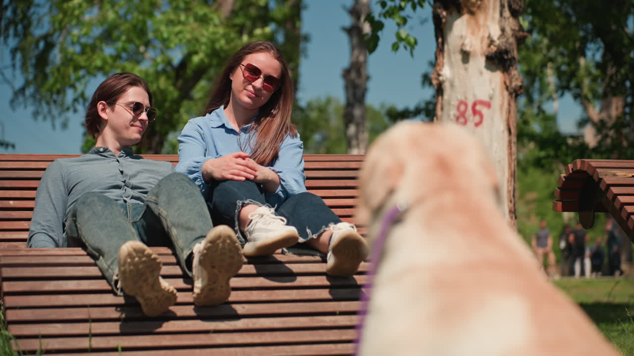 un canino observa a unos enamorados, un perro mira a una pareja besándose, una mascota observa a una pareja romántica cerca de un banco soleado en el parque, un labrador observa a una pareja cariñosa mientras se relaja en una zona exterior luminosa