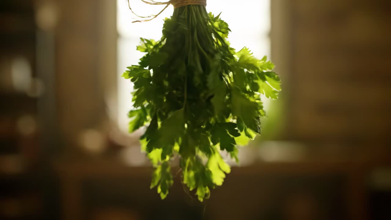 Hanging Bundle of Fresh Parsley