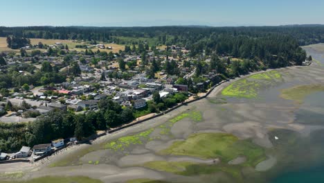 wide drone shot of the town of langley, wa at low tide