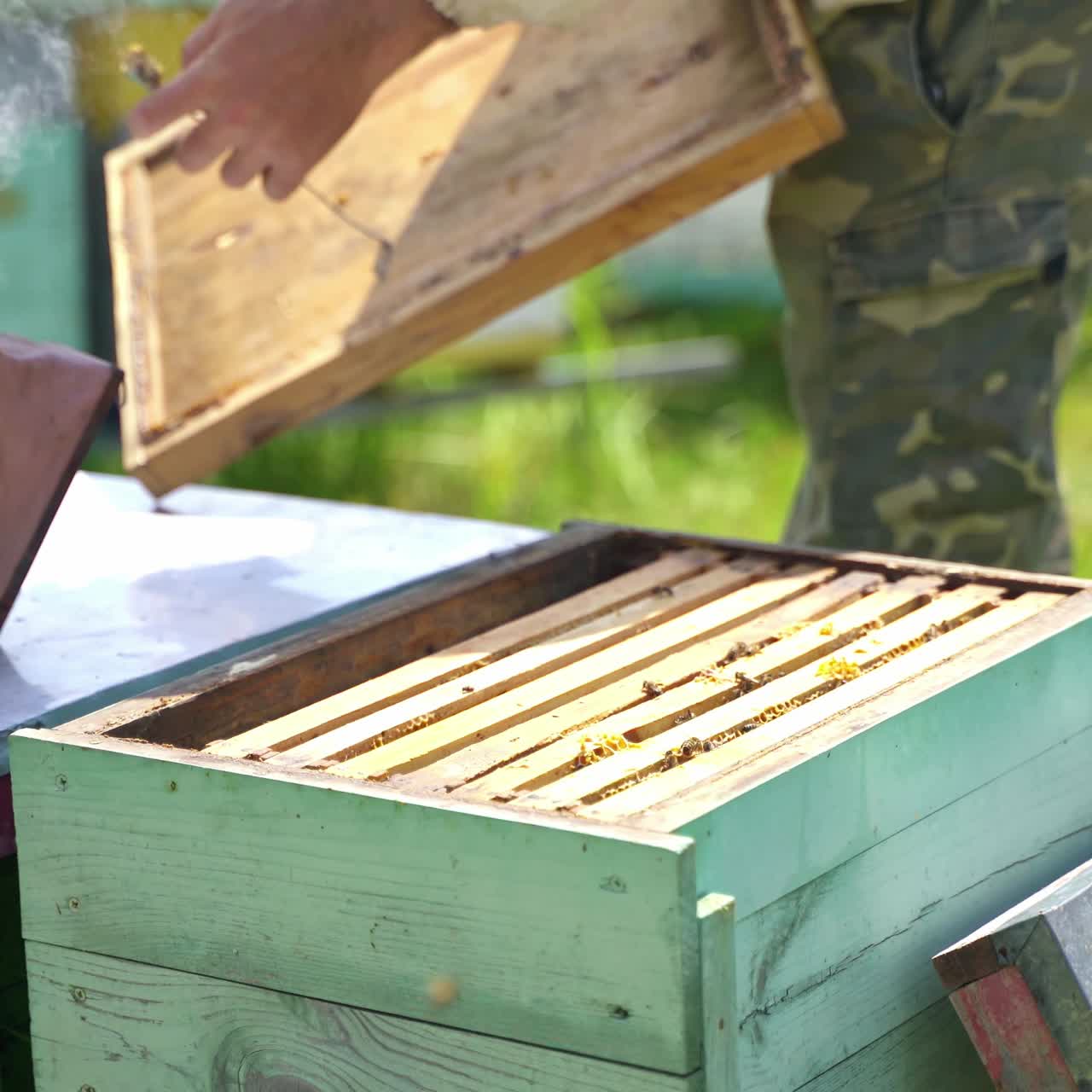 Apiarist with beehives. Chimney with smoke on a hive. Farmer working in the apiary in summer. Beekeeping concept.