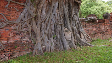 Buddha-Kopfstatue,-Umschlungen-Von-Baumwurzeln-Im-Wat-Mahathat-Tempel-In-Ayutthaya,-Thailand