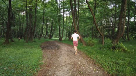 Junger-Kaukasischer-Mann,-Der-Im-Sommer-Auf-Einem-Pfad-Im-Wald-Läuft