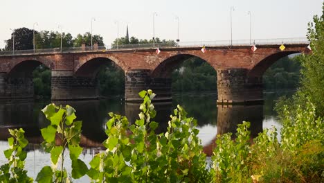 Exuberantes-Hojas-Verdes-Son-El-Primer-Plano-Del-Antiguo-Puente-Romano,-Romerbrucke