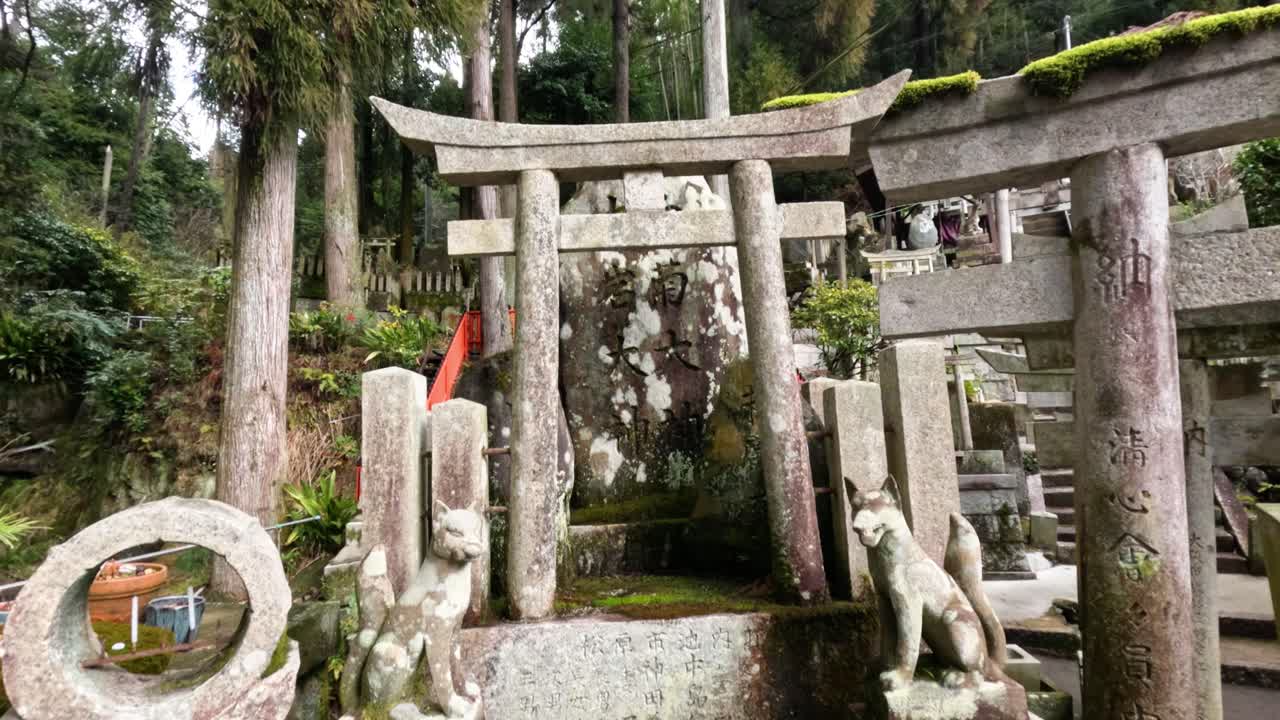 A serene walk through a forested shrine with torii gates