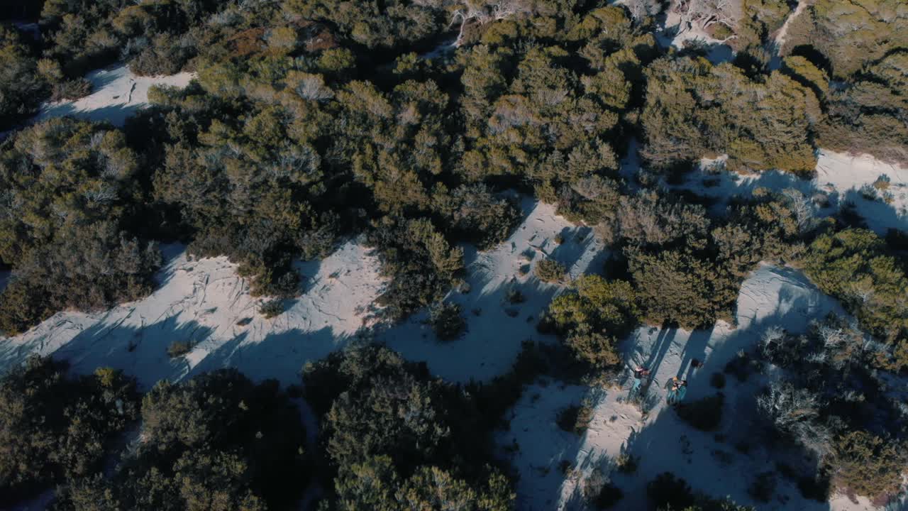 모래 언덕 을 가로질러 가는 숲길 의 공중 사진