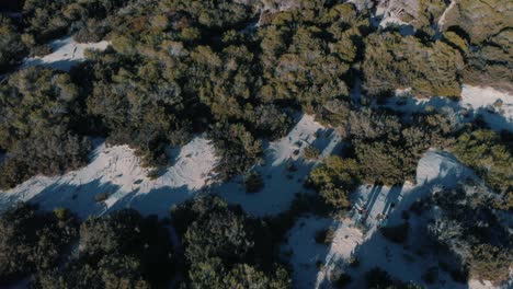 vista aérea de un sendero forestal a través de las dunas