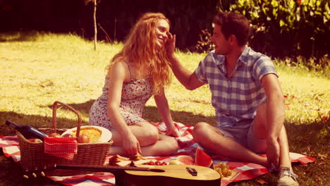 happy cute couple hugging during picnic