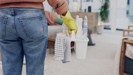 sprzątanie, kobieta i z powrotem w salonie dla pokojówki