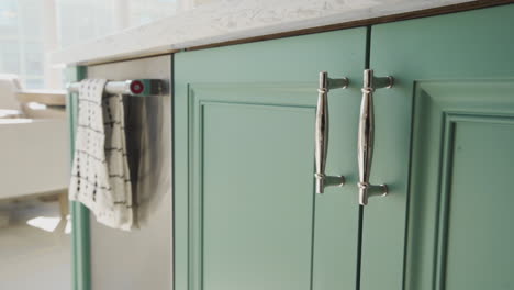 elegant teal cabinet in a stylish kitchen