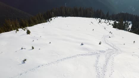 Snow-covered-Iezer-Papusa-Mountains-in-Romania-with-pine-trees,-aerial-view