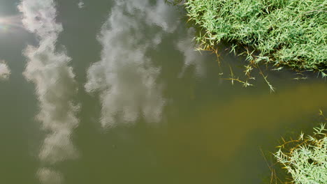 Die-Reflexion-Der-Wolken-Im-Schlammigen-Wasser-Schafft-Eine-Faszinierende,-ätherische-Szene