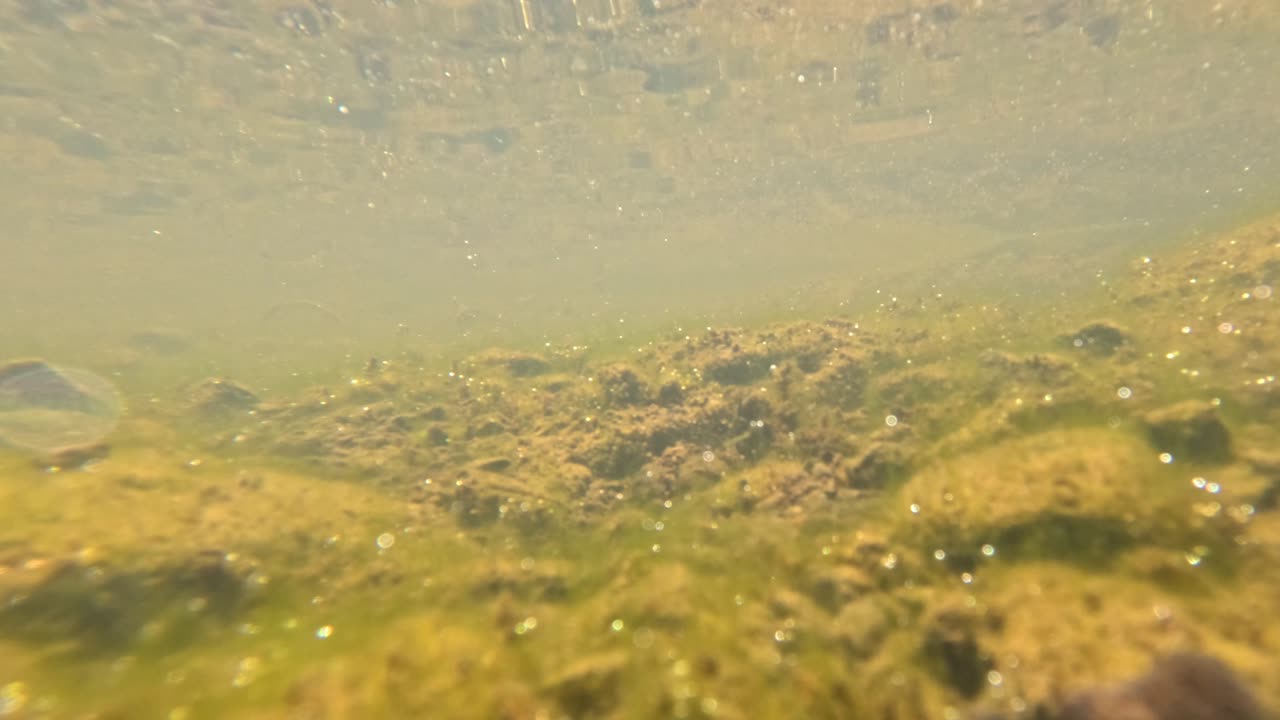 medio acuático con burbujas que se elevan a la superficie