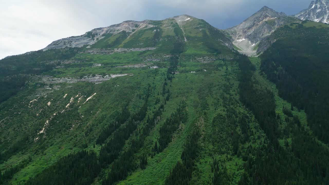 paisaje de montaña gigante con caminos de avalancha forestal