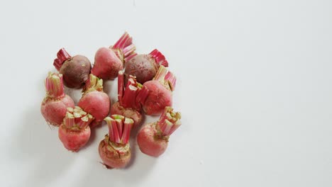 turnip and beetroot arranged on white background 4k 4k