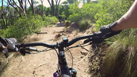 follow the leader down the trail