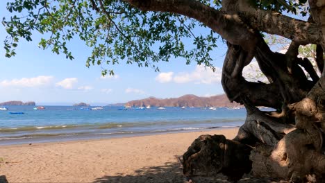 科科海灘 (科科海灘) 位於哥斯大黎加的瓜納卡斯特 (guanacaste)