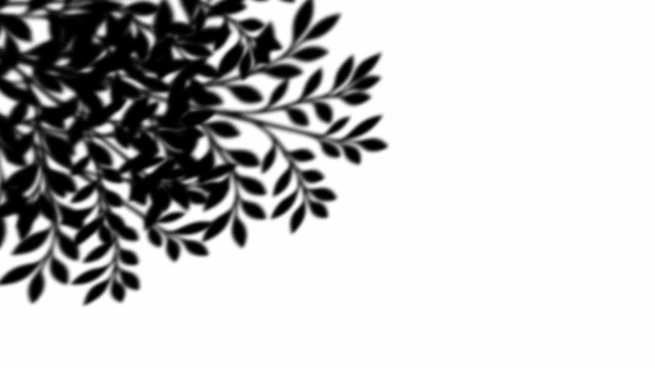 A black silhouette of leaves sways gently in top left corner on an isolated white background. A minimal and clean shadow effect