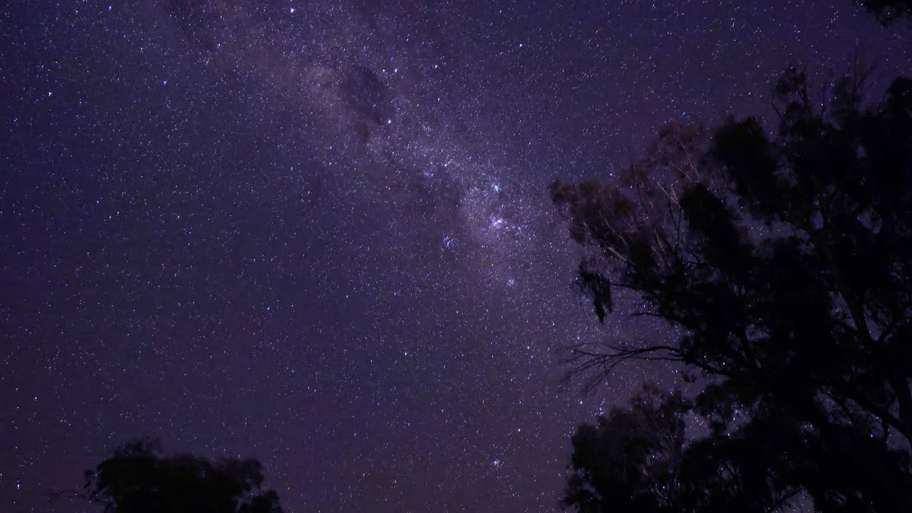 Cielo notturno con Via Lattea e alberi