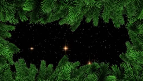 Animation-of-christmas-fir-tree-over-stars-on-black-background