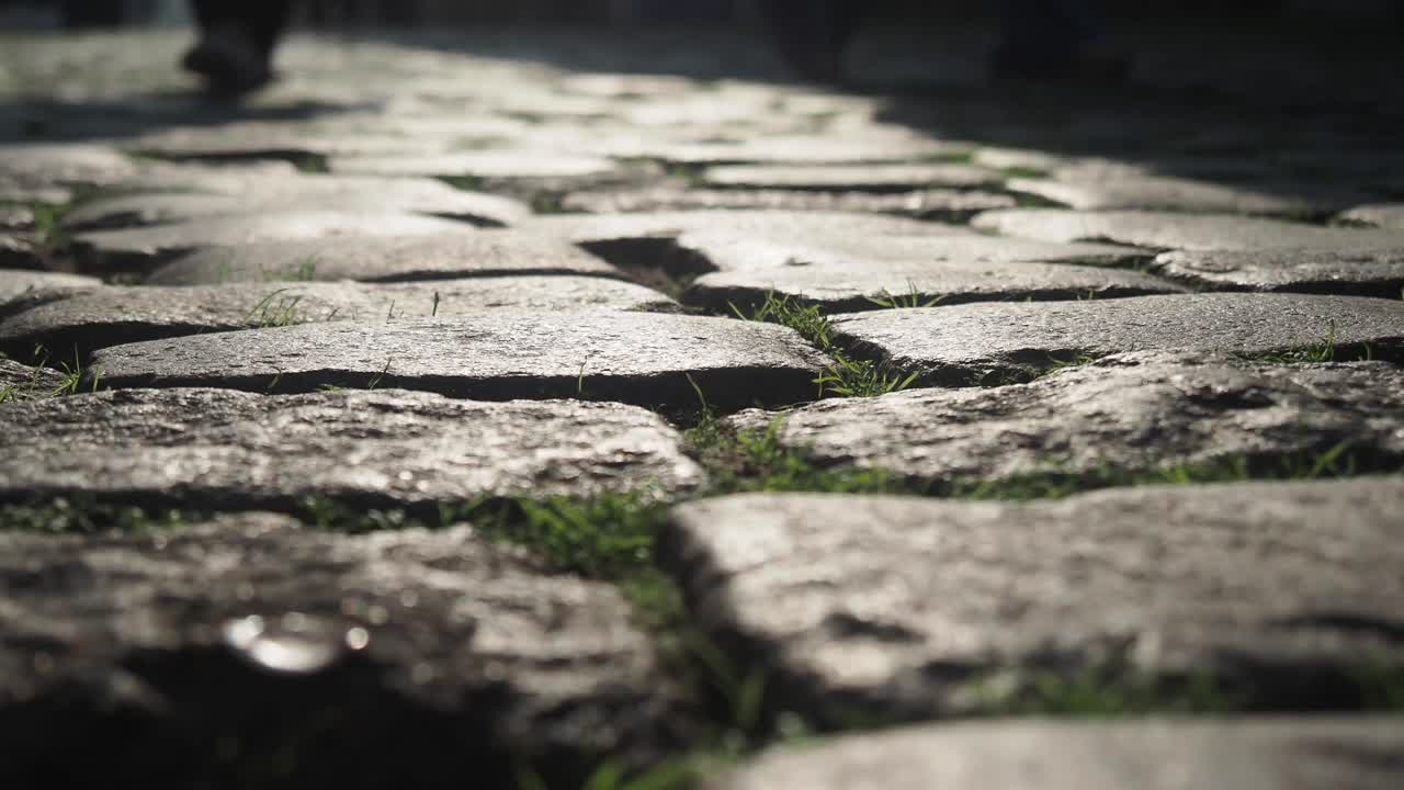 Cobblestone Path