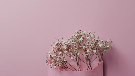 Video-of-pink-flowers-in-pink-envelope-and-copy-space-on-pink-background