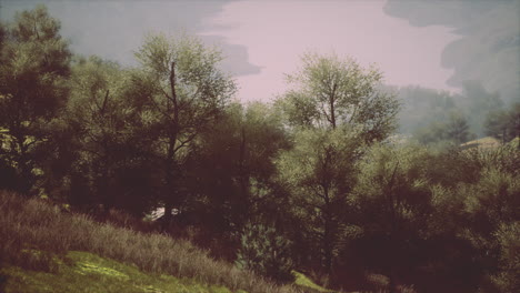 paisaje rural pintoresco con verde valle de montaña de verano y bosques