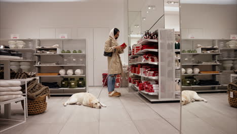 Chica-Elegante-Eligiendo-Regalos-De-Navidad-En-Una-Tienda-De-Decoración-Para-El-Hogar-Que-Admite-Mascotas-Con-Su-Perezoso-Cachorro-Labrador