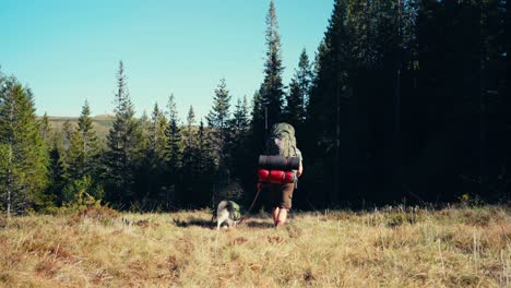 rear of a backpacker with pet dog on a sunny trails in forest