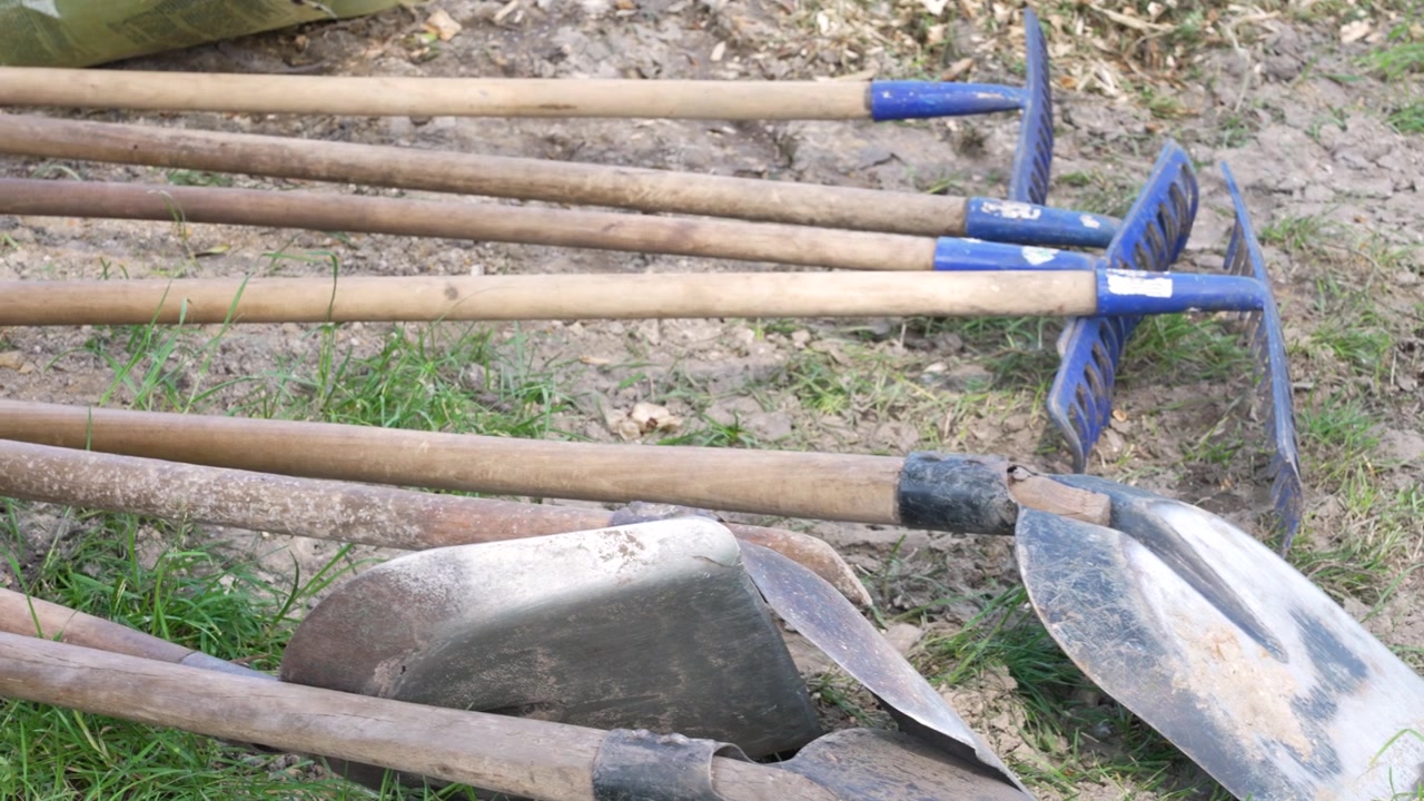 Varias herramientas de jardinería como palas y rastrillos yaciendo sobre la hierba y la tierra, listas para trabajar