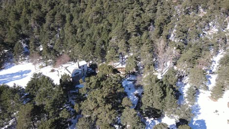 volando sobre un bosque de pinos nevados en la ladera de una montaña y un antiguo refugio abandonado en el desierto