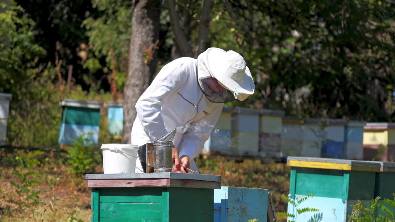 Experienced beekeeper in protective uniform on apiary. Man apiarist examining bees in beehives among green nature. Apiculture business. Honey production.