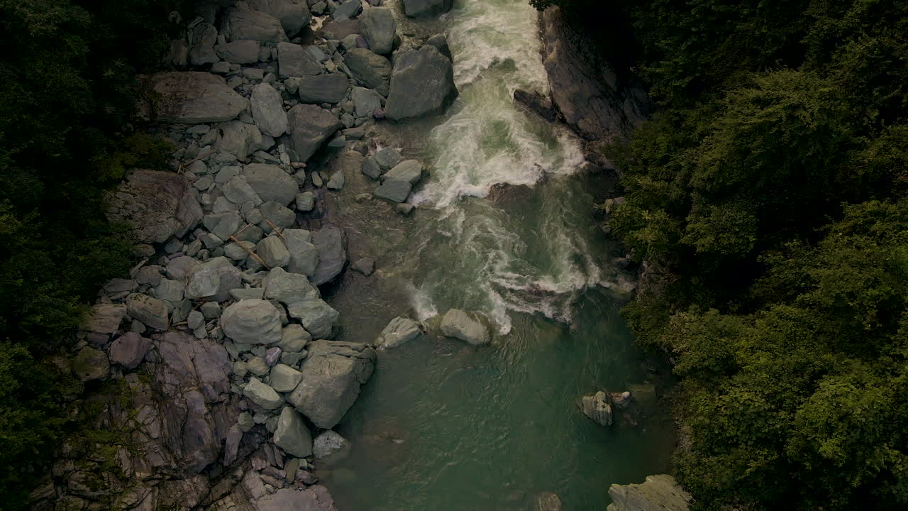 일본 도쿠시마 현 시코쿠 섬의 시골 강에서 공중이 솟아오르고 있다