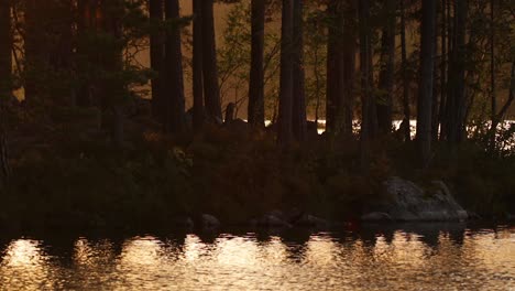 Glowing-water-during-golden-hour-at-a-lake-in-a-Swedish-forest
