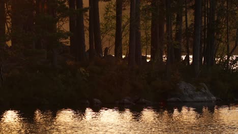 Agua-Brillante-Durante-La-Hora-Dorada-En-Un-Lago-En-Un-Bosque-Sueco